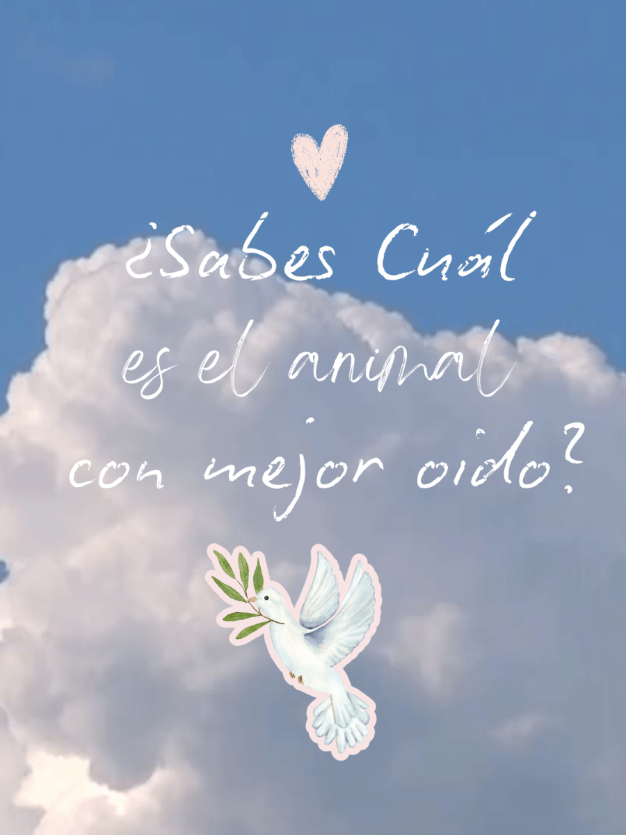 El que tenga oidos que&nbsp;oiga