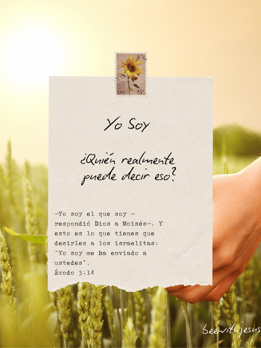 Yo soy
